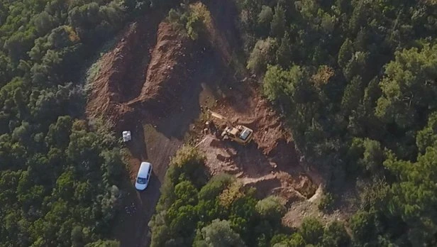 Atlardaki Ruam hastalığı bulaşıcı mıdır? Büyükadada ortaya çıkan Ruam hastalığı nedir?