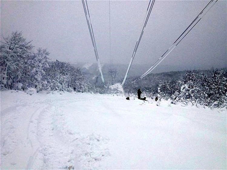 Elektrik kesintilerine SEDAŞ'dan fotoğraflı açıklama geldi