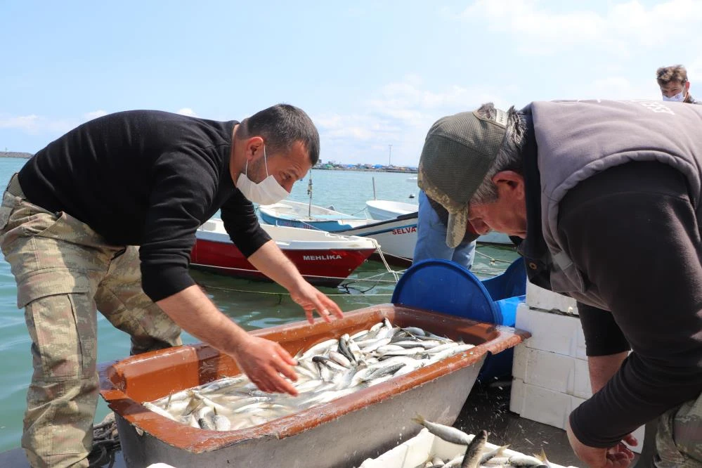 Balık sezonuna iklim değişikliği etkisi