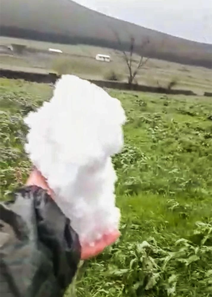 Şiddetli fırtına seralara zarar verdi, ağaçları devirdi