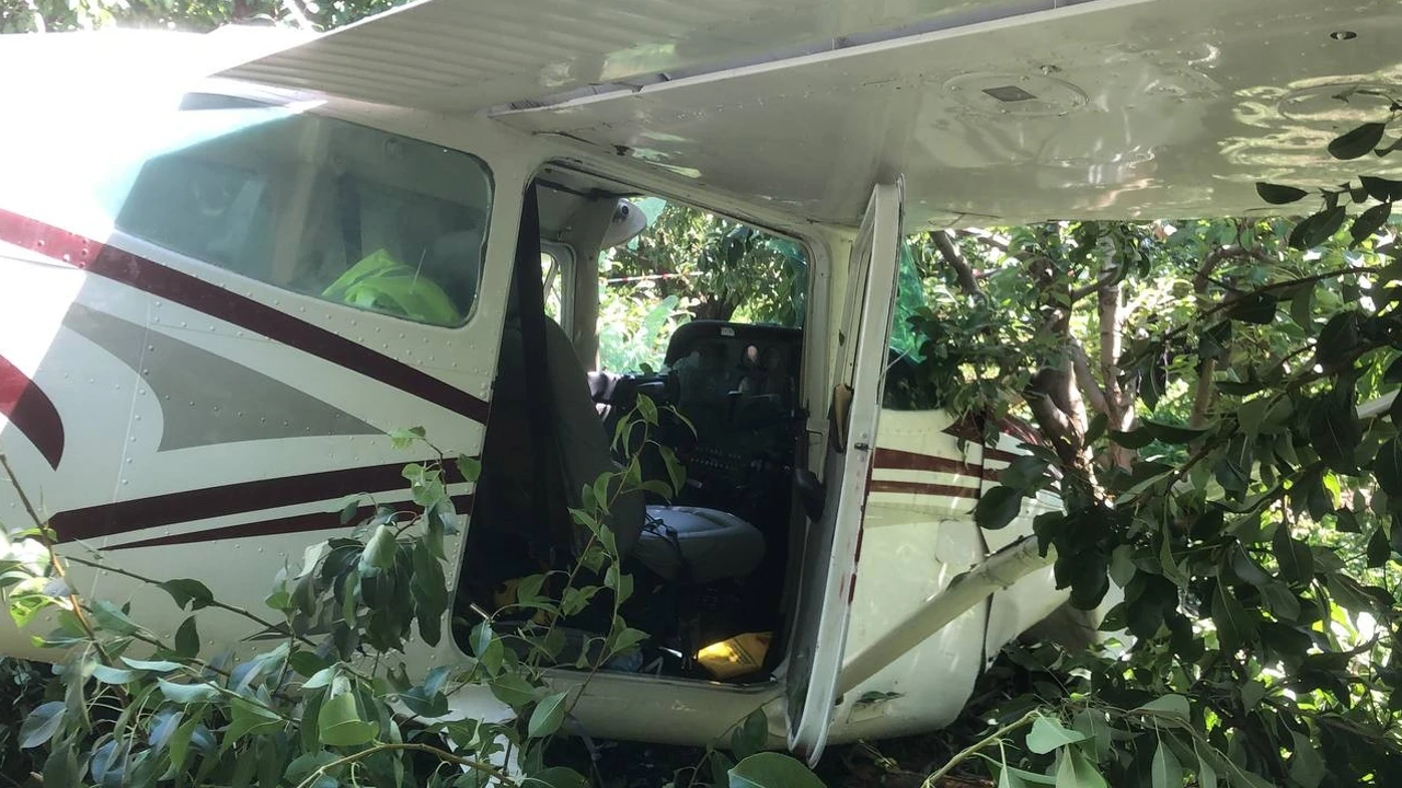 Bursa'da uçak kazası! Meyve bahçesine indi...