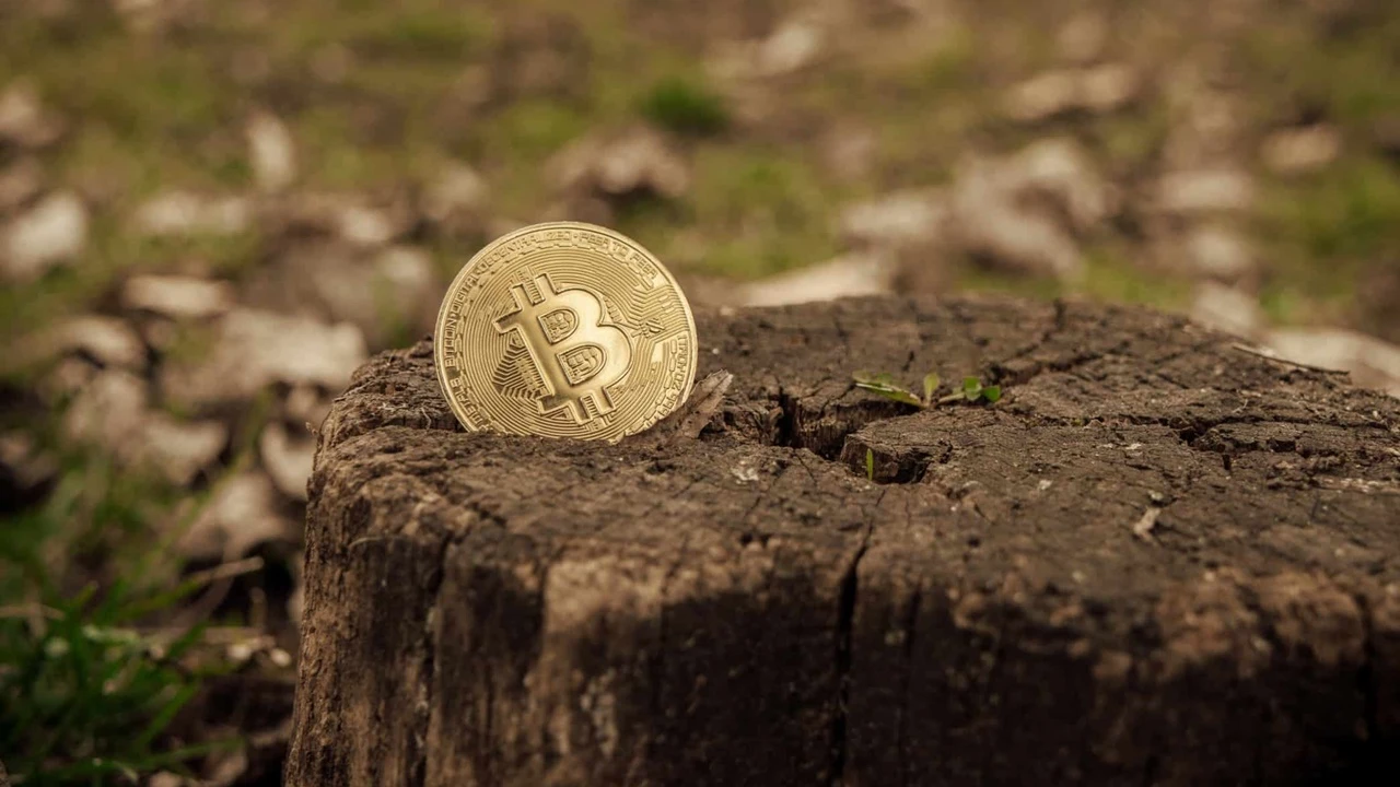 Bitcoin'de yasakların sebebi enerjide dışa bağımlılık