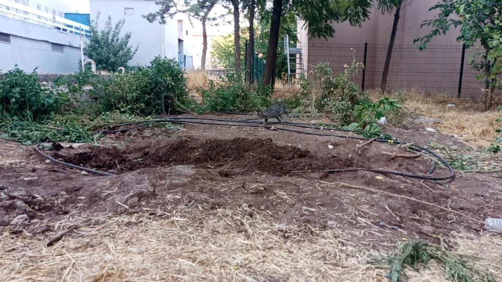 Akıl almaz olay: Elektrik çarptı, yakınları tedaviyi reddedip toprağa gömdü