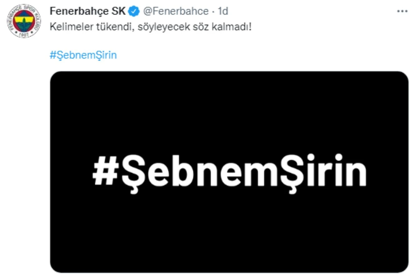 Spor camiası Şebnem Şirin cinayetine tepki gösterdi