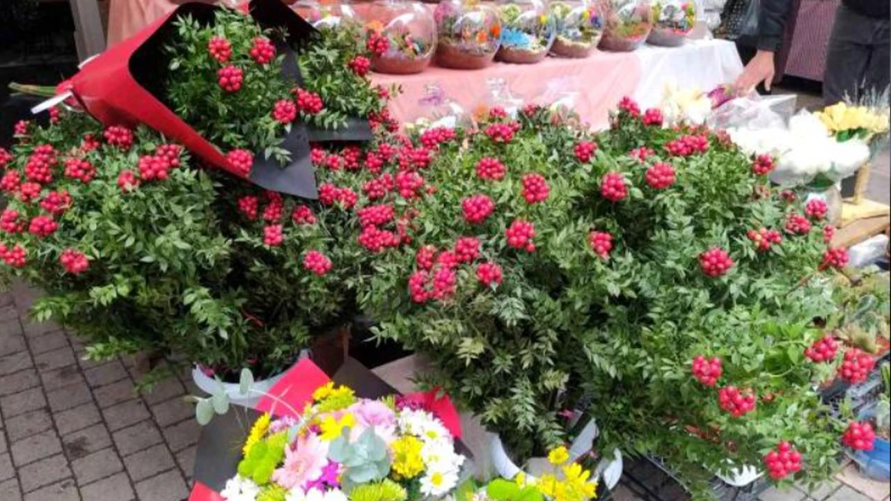 25 liraya ev sahibi olmak isteyenler çiçekçinin yolunu tutuyor! Kokina çiçeği hayallerini süslüyor!