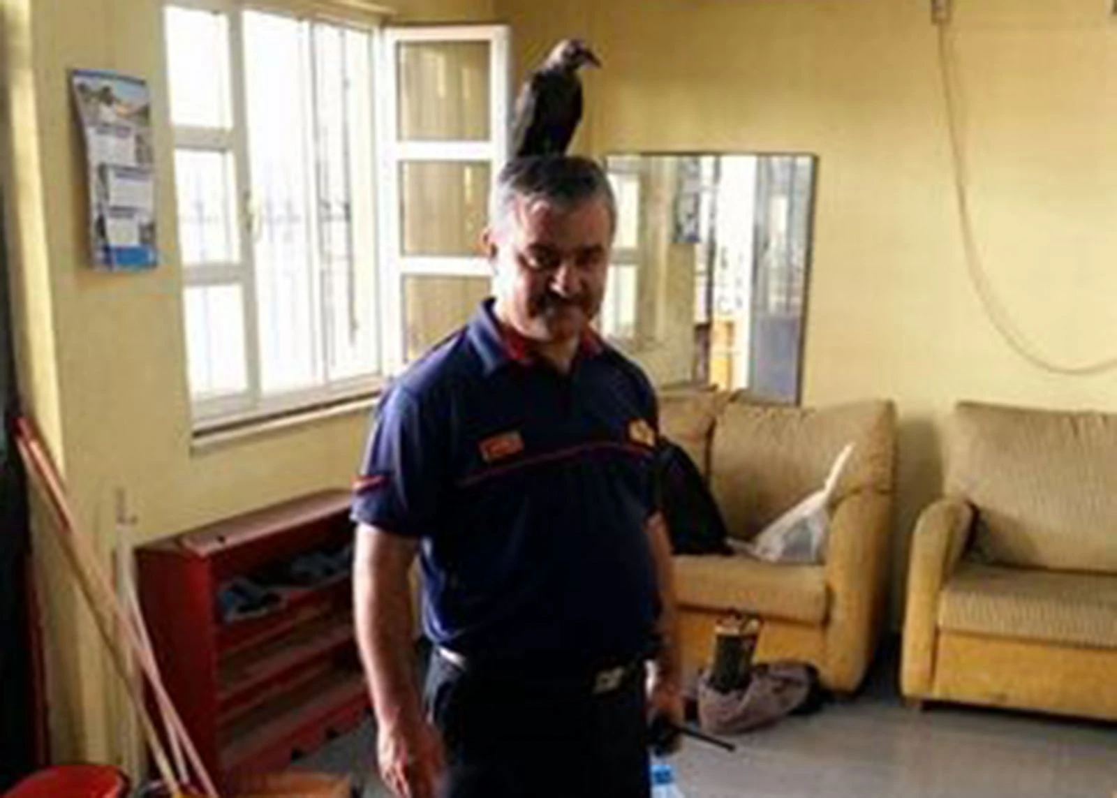 'Besle kargayı oysun gözünü' derler ama bu karga başka!