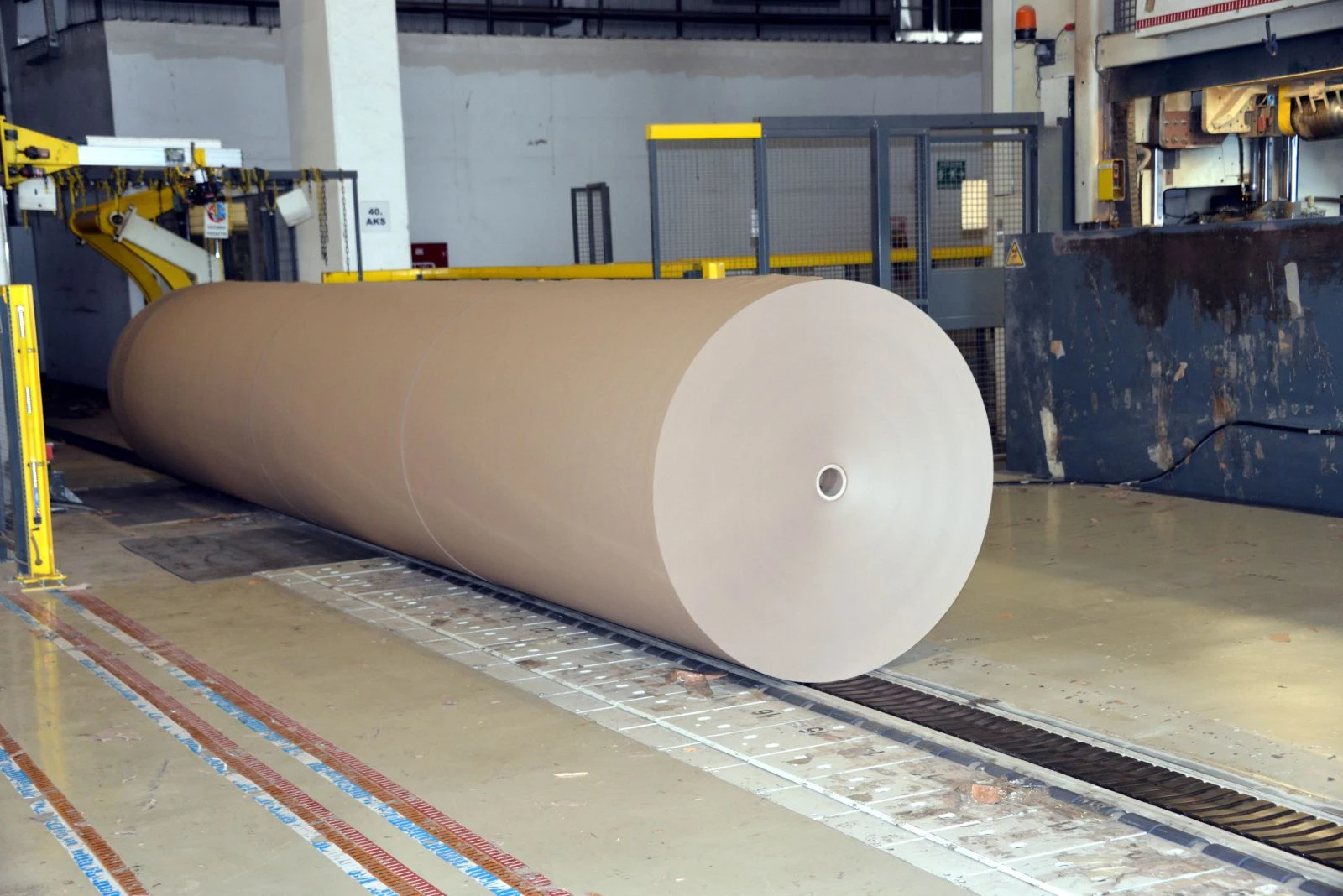 Avrupa'nın en büyük kağıt fabrikası Türkiye'ye kuruluyor