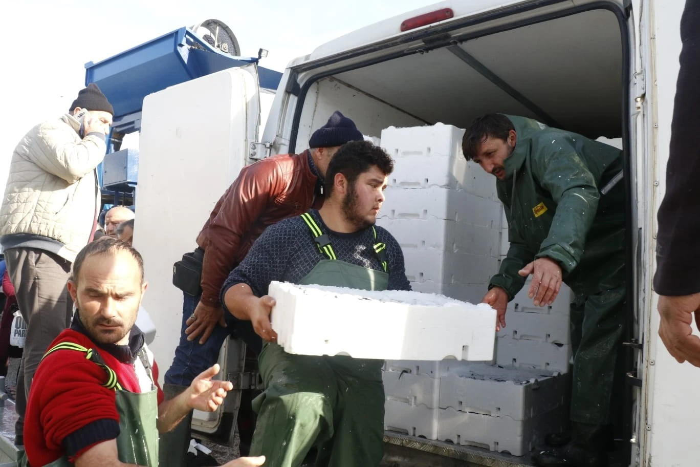 Zonguldak’ta hamsi bereketi