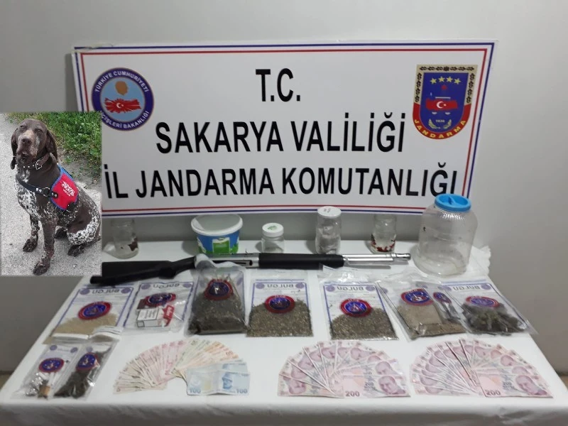 Jandarma kasım ayı uyuşturucu raporu: 9 tutuklama