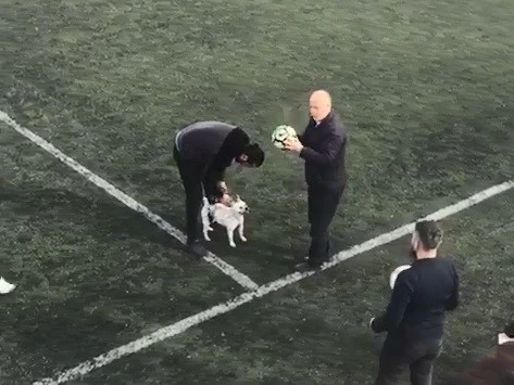 Hakem ve futbolcular topu sahaya giren köpekten zorlukla alabildi