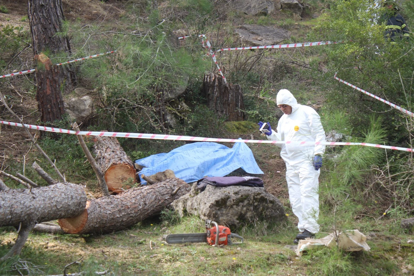 Kestiği ağacın altında kalan yaşlı adam öldü