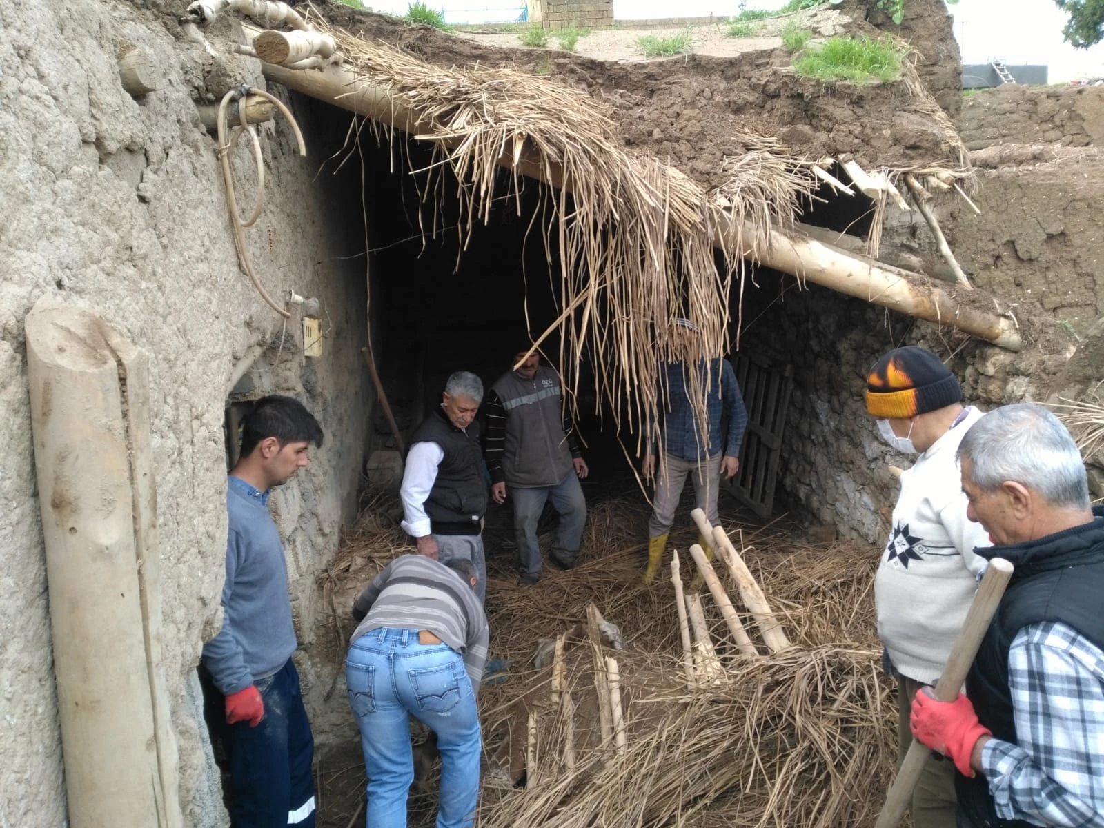 Yağış nedeniyle çöken ahırda gebe inek telef oldu