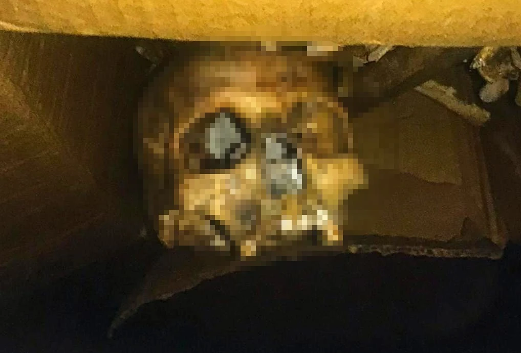 Ev tadilatındaki insan iskeleti kadavra çıktı