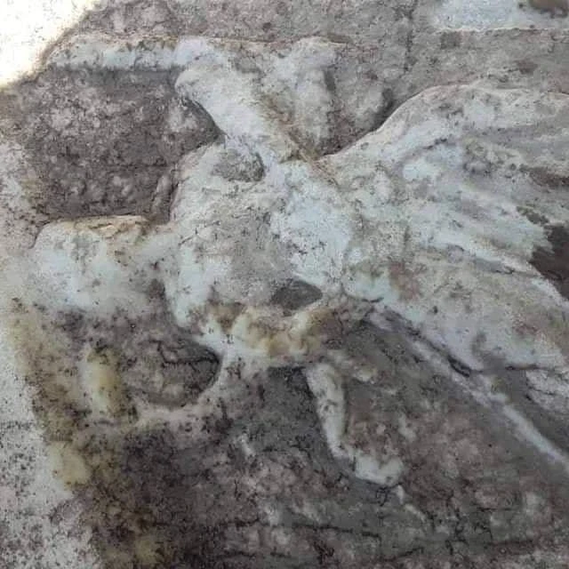 Kanalizasyondan 2000 yıllık lahit çıktı