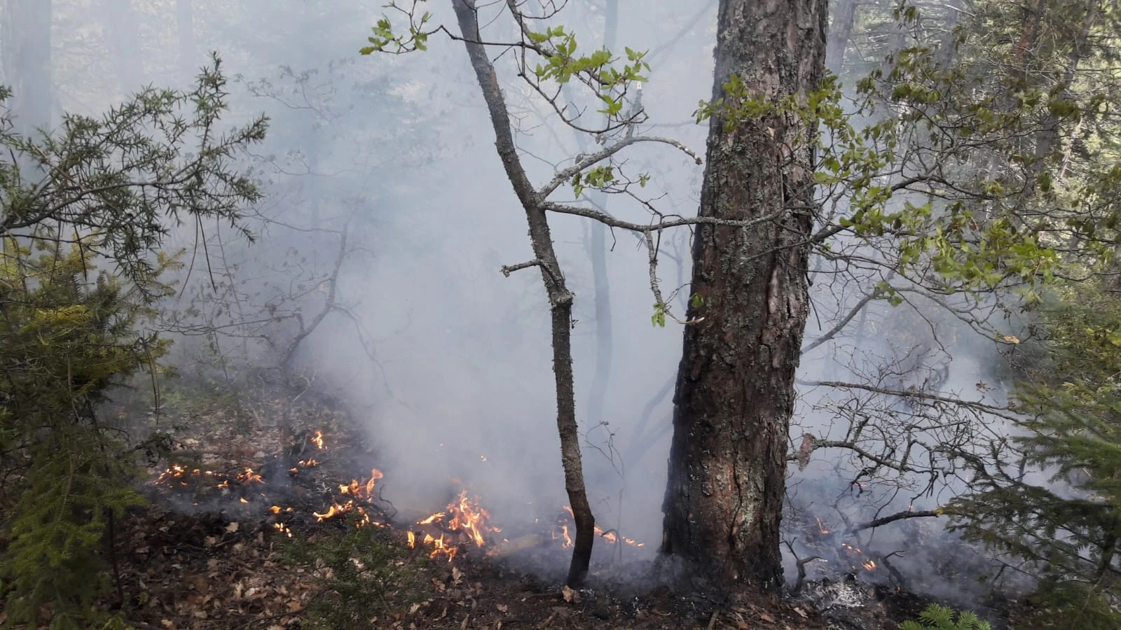 Yıldırım düşmesi sonrası çıkan yangınlar büyümeden söndürüldü