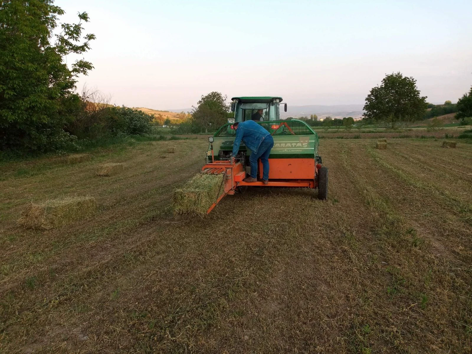 Yonca fiyatları altını aratmıyor
