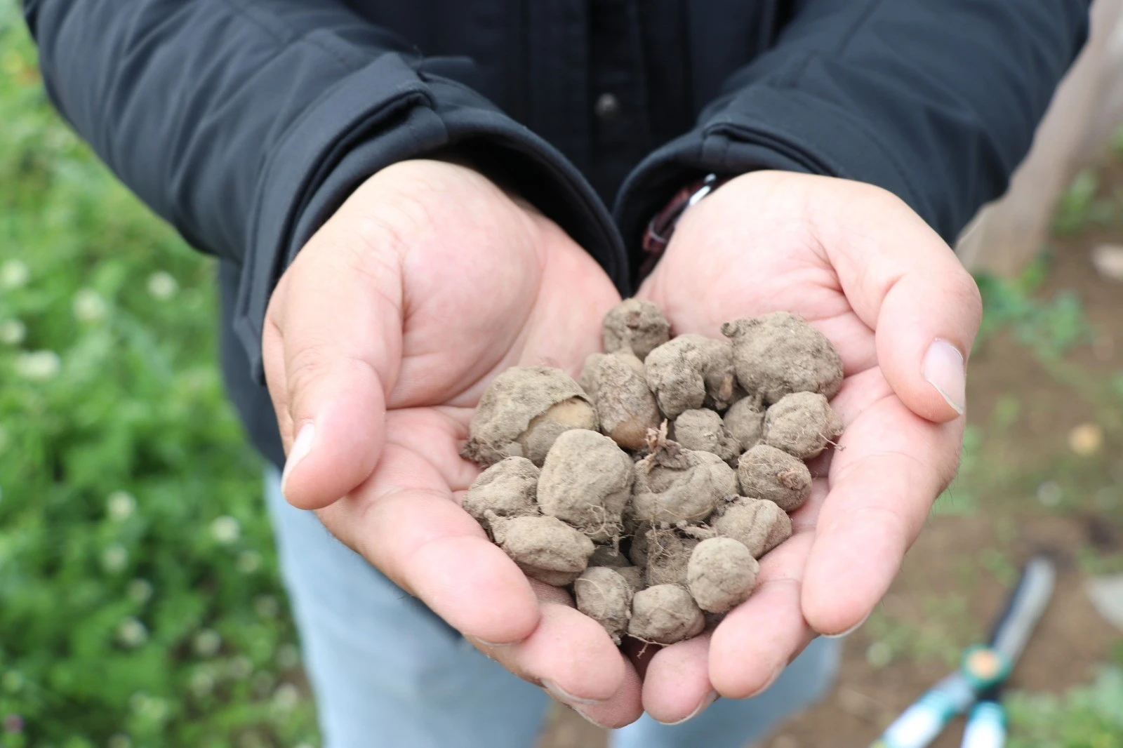 Salebin kilosu bu sene 1000 TL