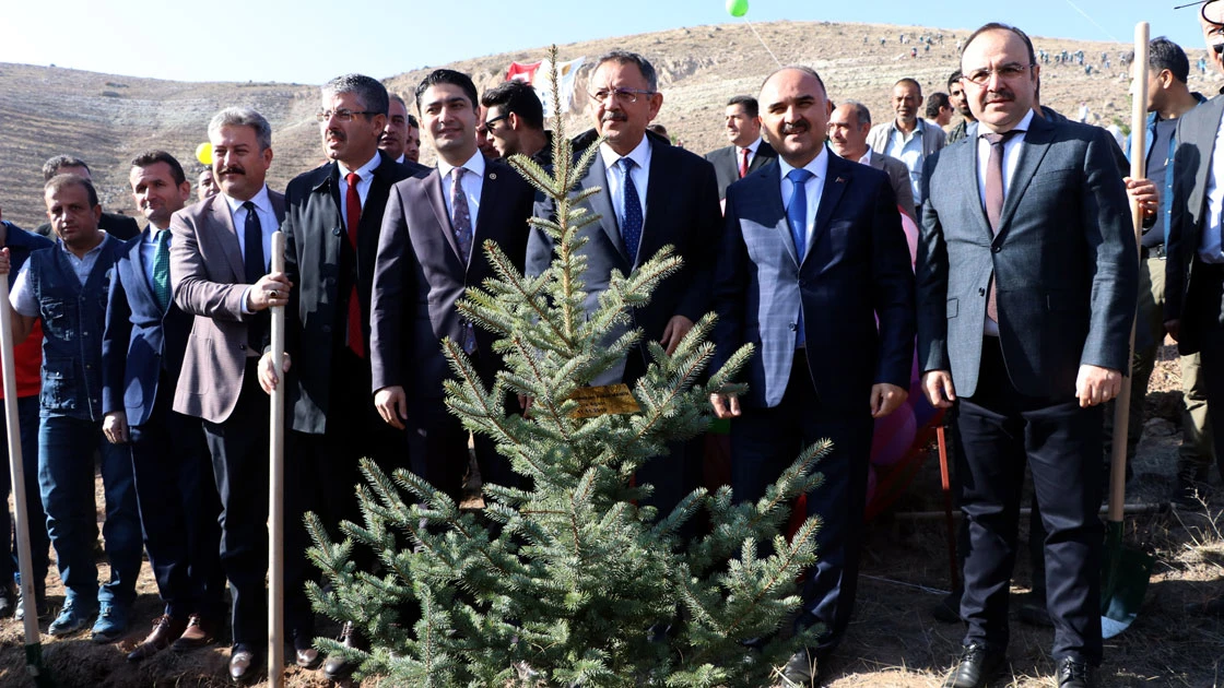 11 milyon fidan toprakla buluşuyor