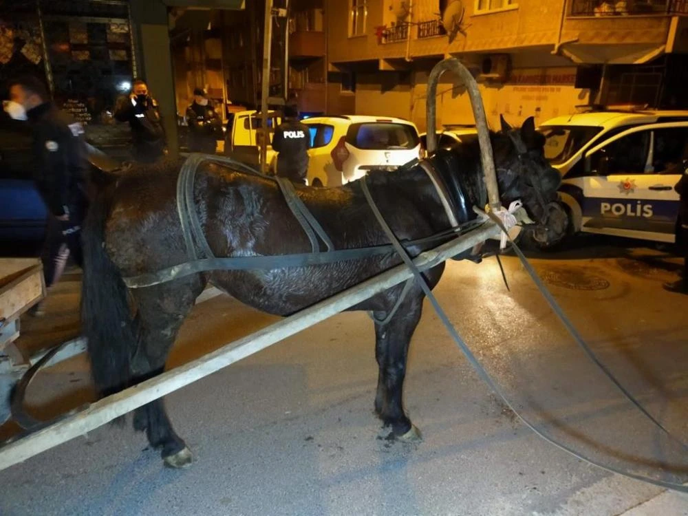 İnşaat malzemeleri çalan at arabalı 3 kadın hırsız yakalandı