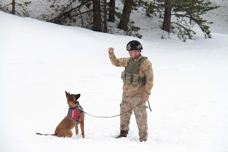 Teröristlerin izini sürüyorlar