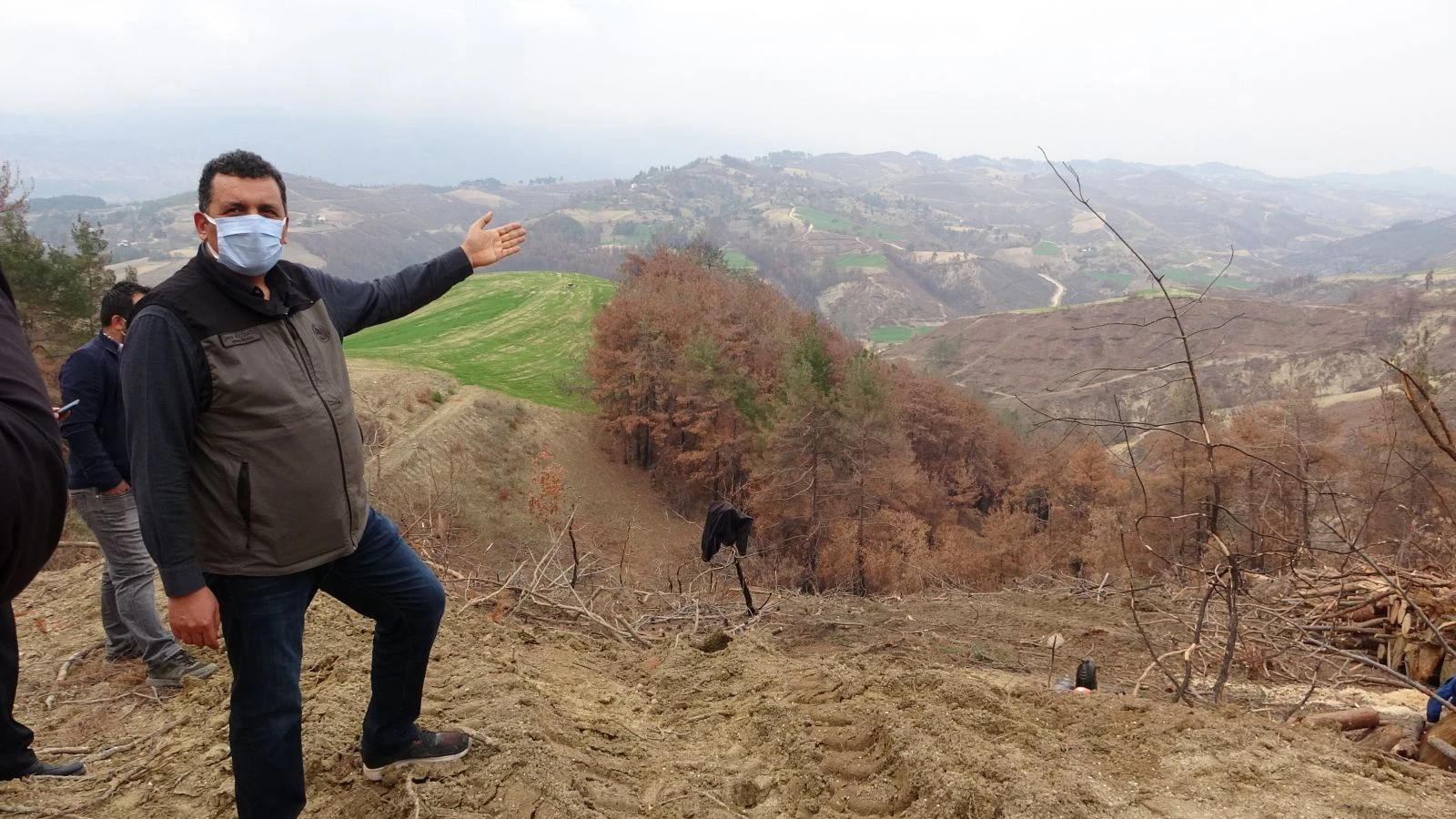 Yanan ormanlık alanları küllerinden yeşertmek için çalışıyorlar