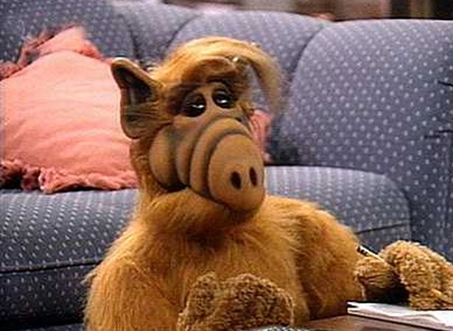Alf ve Susam Sokağı