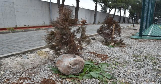 TSK, El Bab'a yerleştirilmiş olan el yapımı patlayıcıların fotoğraflarını paylaştı