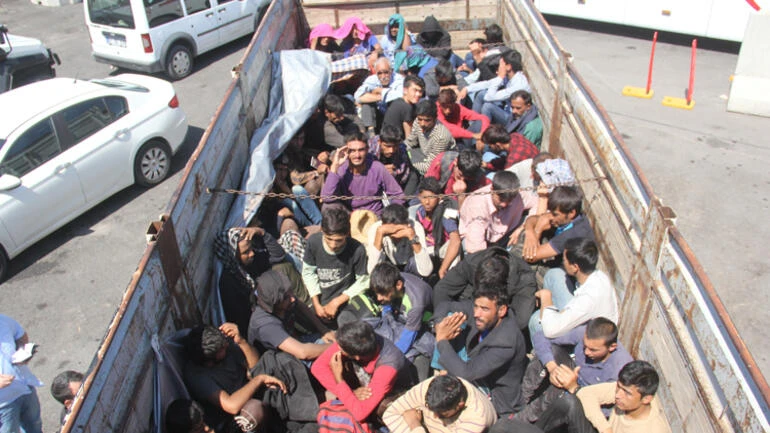 'Kamyonda koyun var' dedi, brandayı açınca gerçek ortaya çıktı