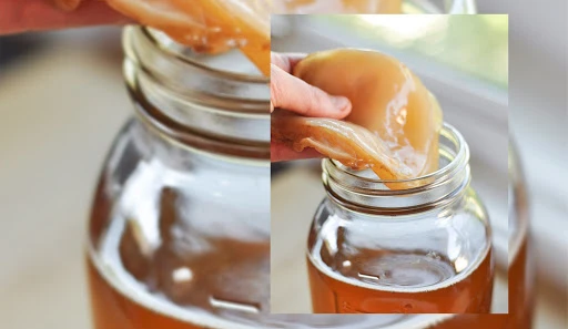 Kombucha (Kombu) Çayı nedir? Kombu Çayı'nın faydaları ve Zararları