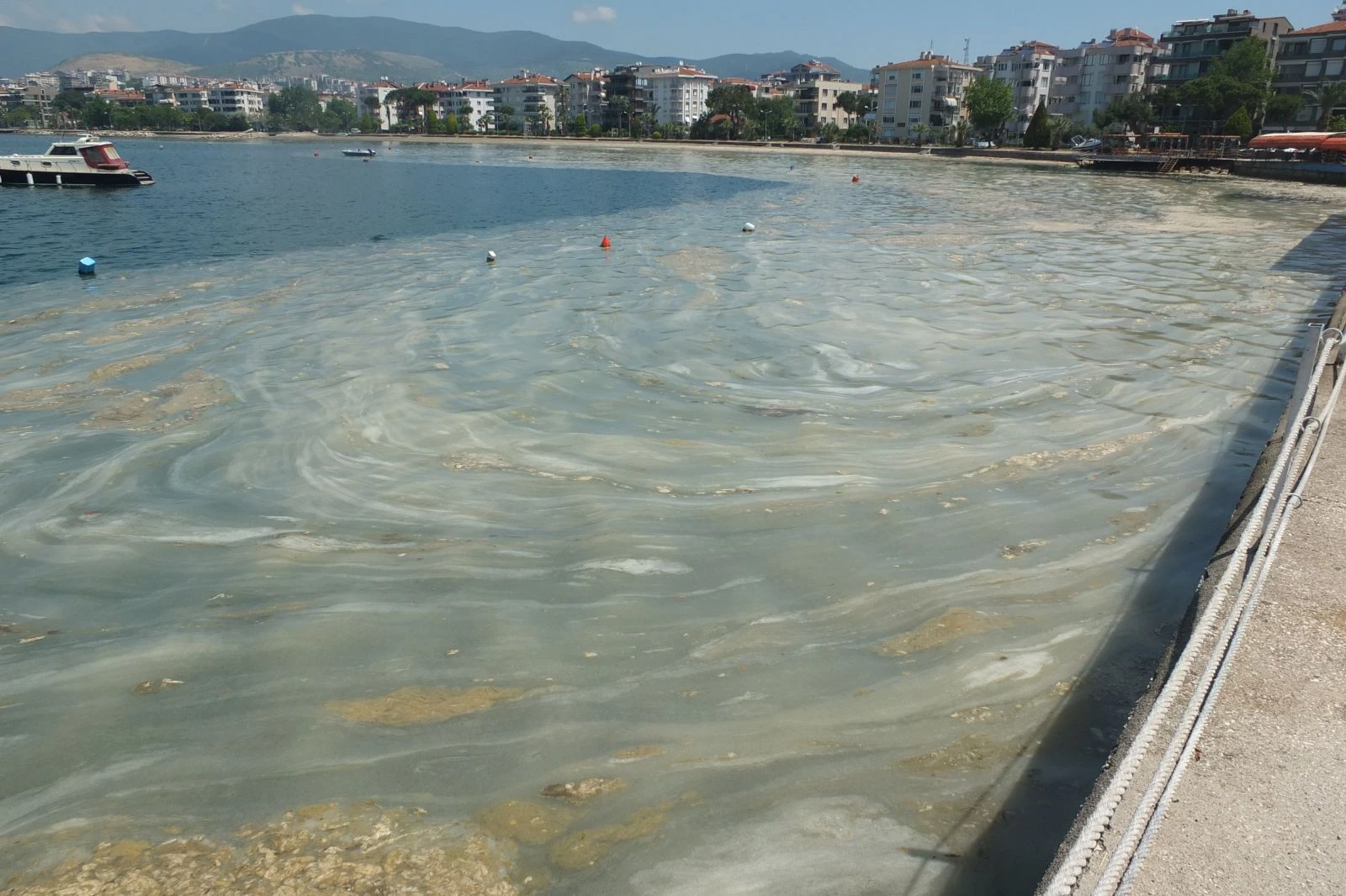 Tehlike büyüyor: Mujilas(deniz salyası) Marmara Denizi'ni kapladı