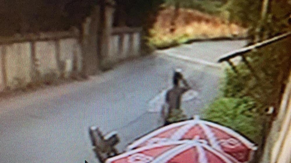 Zorla ormanlık alana götürdü, başına taşla vurarak ağır yaraladı