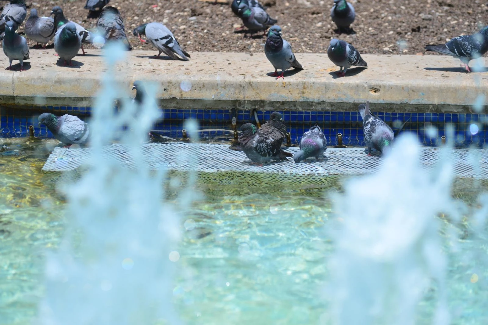 Adana'da termometreler 46 dereceyi gösterdi