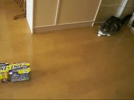 10 maddede diyet yapmanın zorlukları