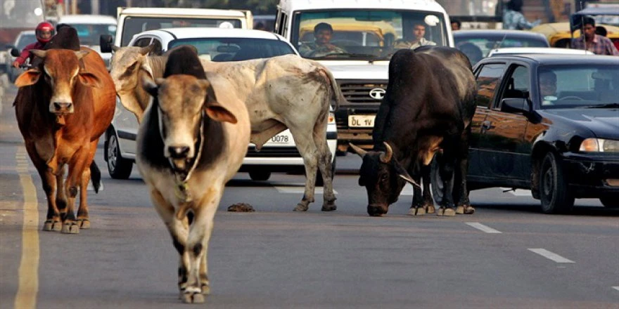 Hindistan’da Dikkat Etmeniz Gerekenler