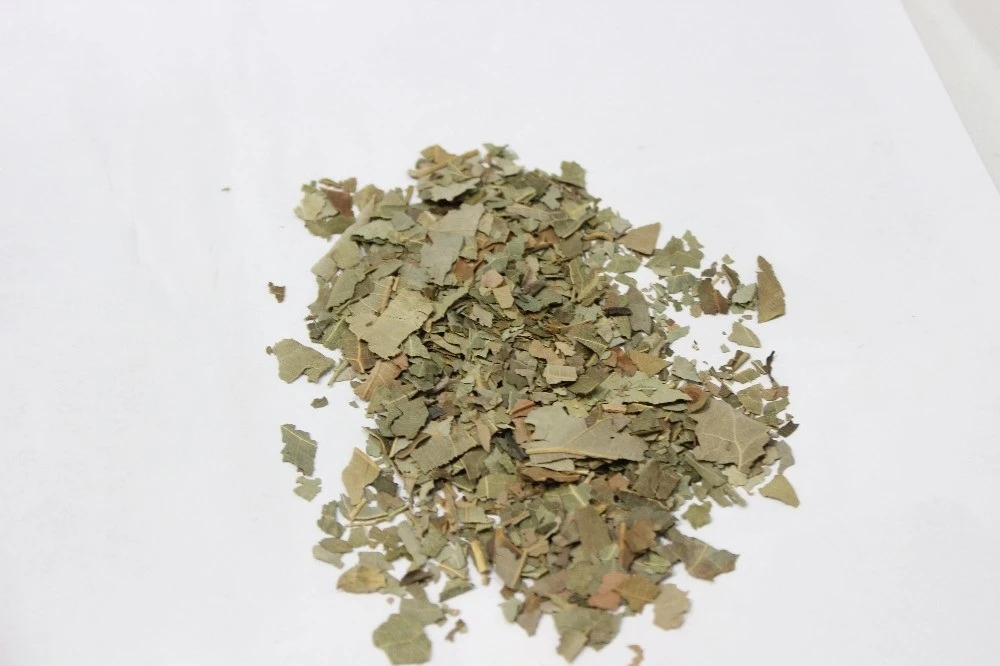 Lise öğrencisinden inanılmaz buluş: Kanser hücrelerini yok ediyor