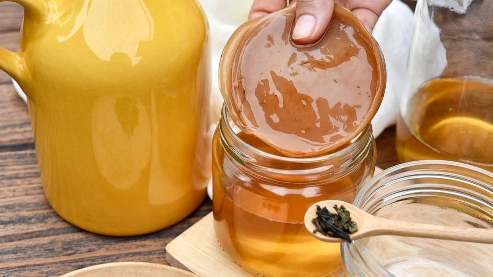 Kombucha (Kombu) Çayı nedir? Kombu Çayı'nın faydaları ve Zararları