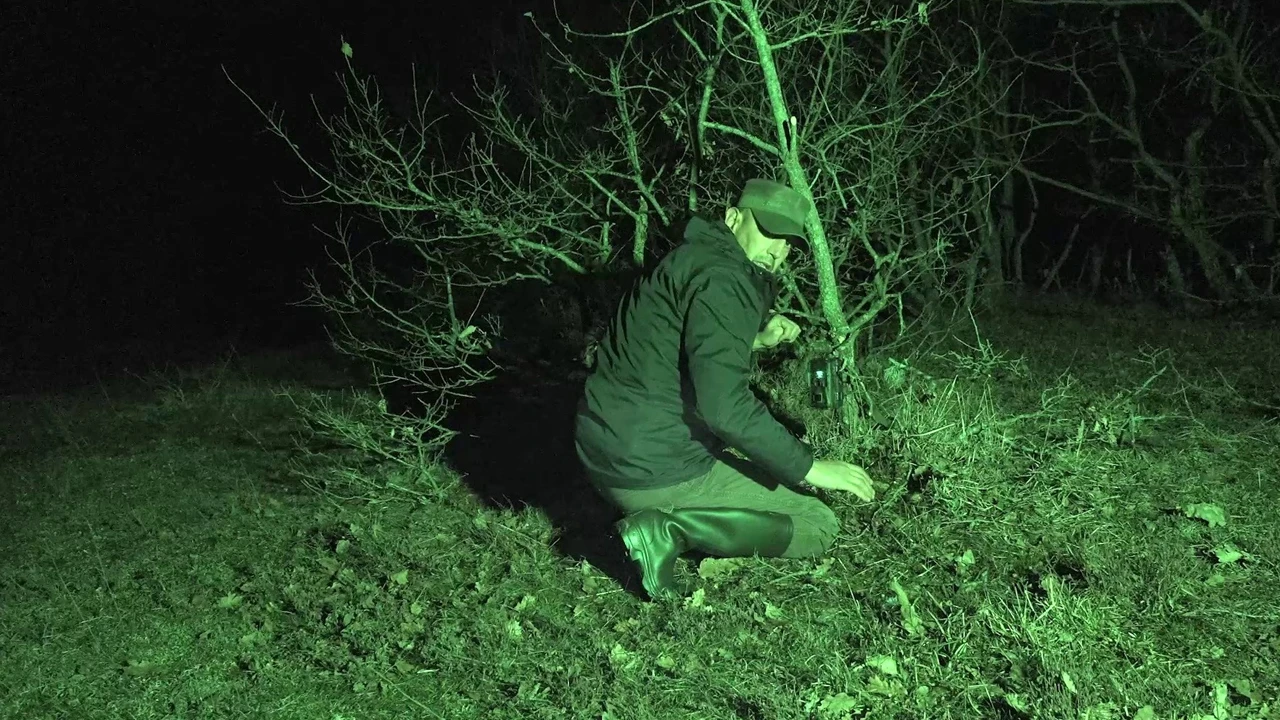 Vahşi doğada yaşayan korkusuz polis