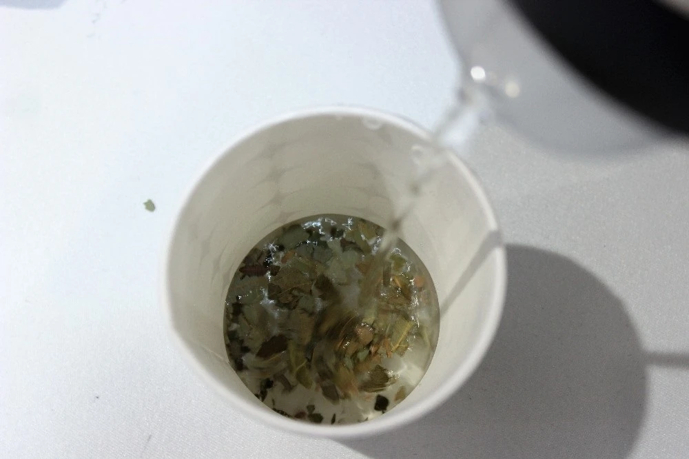 Lise öğrencisinden inanılmaz buluş: Kanser hücrelerini yok ediyor