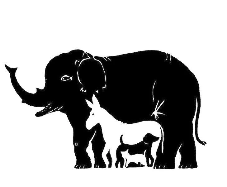 Görsel hafıza testlerini çözmeye hazır mısın?