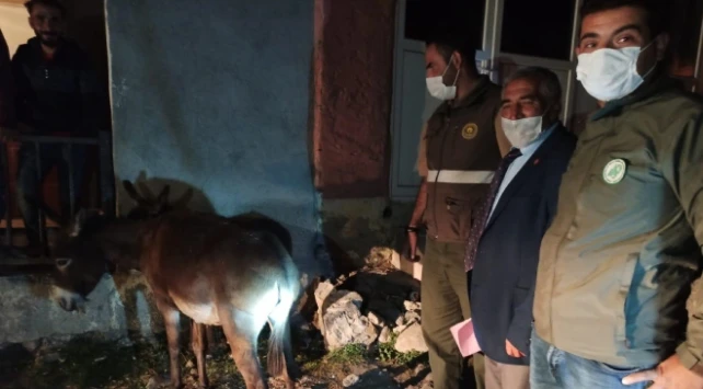 Kars'ta insanlık dışı görüntü!