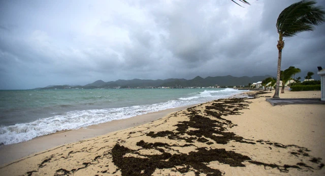 Irma Kasırgası'nda ağır bilanço! Ölü ve yaralılar var