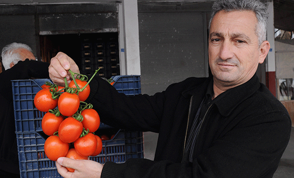 Domatesin fiyatı yüzde yüz arttı