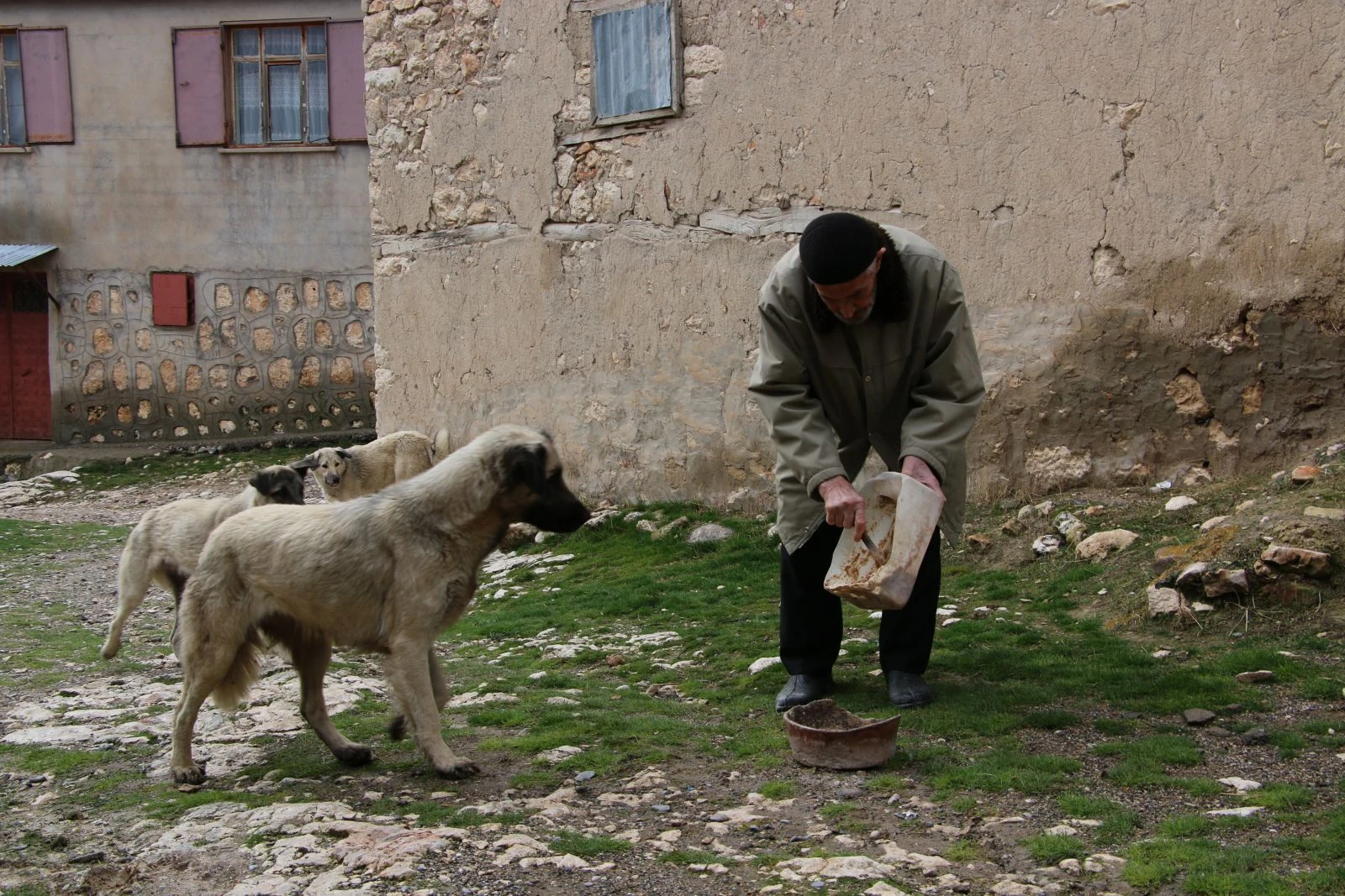 Tenceresi 10 yıldır kedi ve köpekleri için kaynıyor