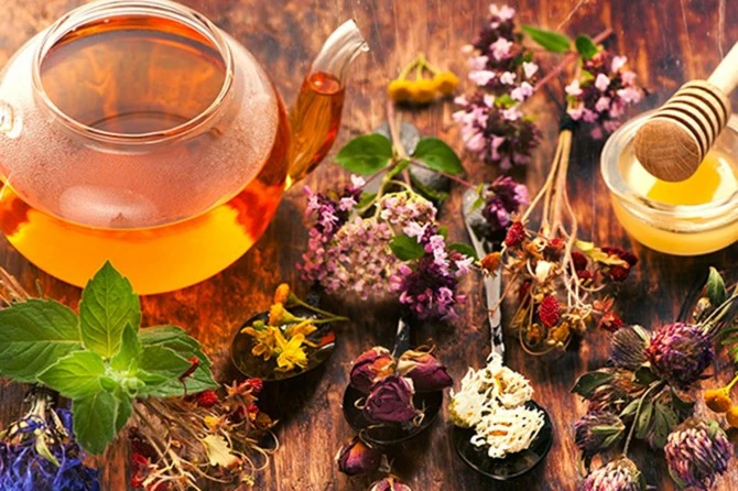 Solunum Sistemi Şifalı Bitkiler