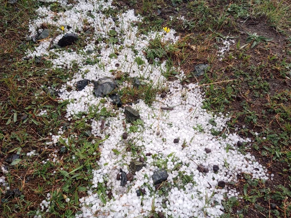 Ağustos ayında her yer beyaza büründü