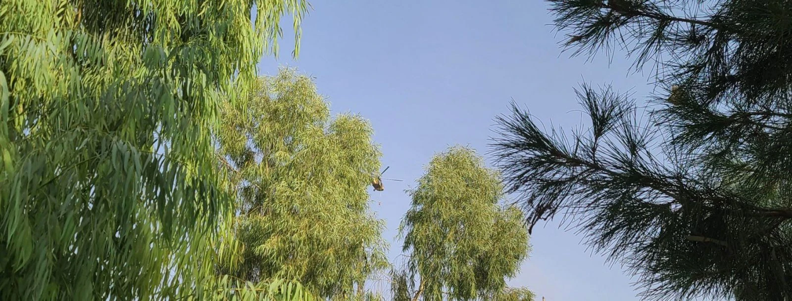 ABD’nin korktuğu oldu! Taliban Black Hawk helikopterini ilk kez uçurdu