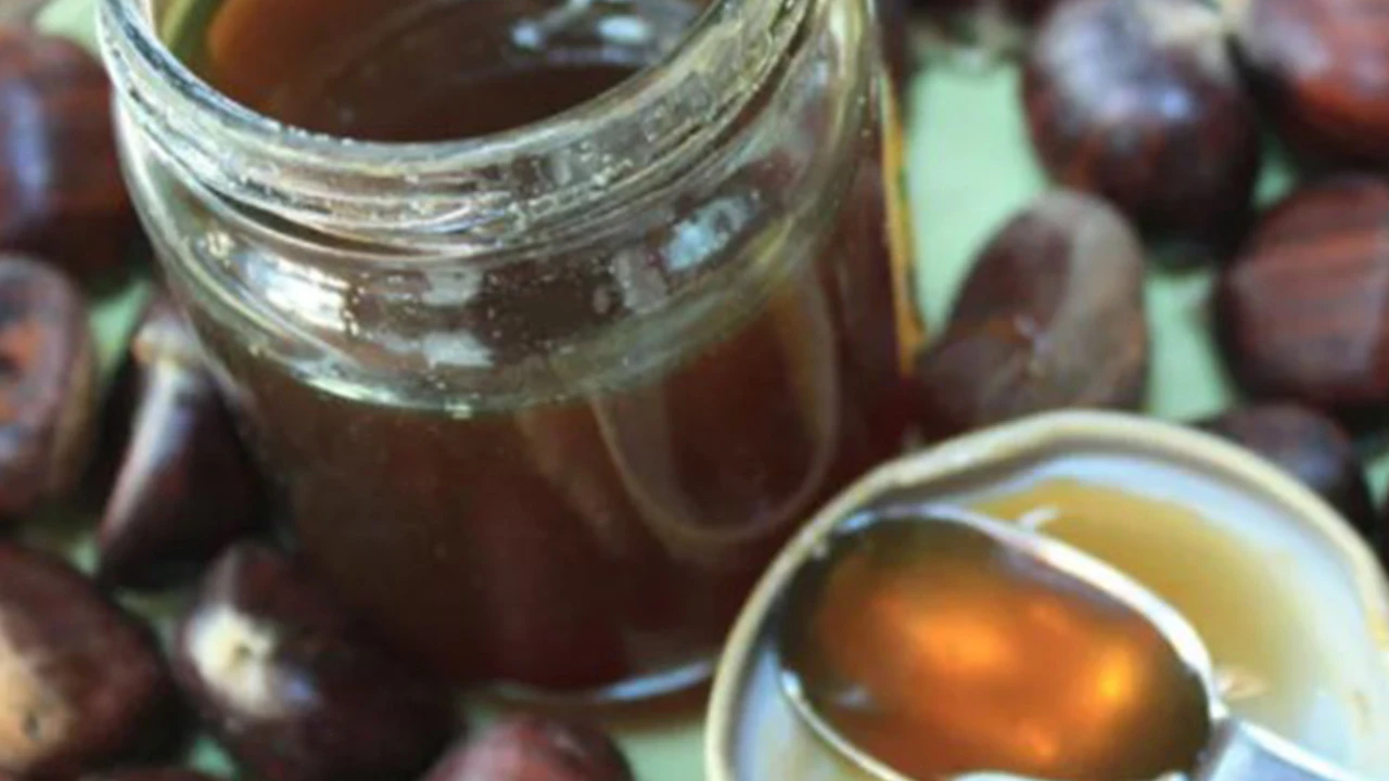 Kestane balı faydaları nedir, nerede yetişir? Kestane balı diyarı Zonguldak'ta bal fiyatları...