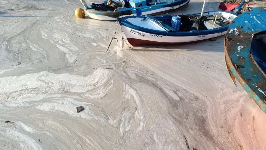 Gökçeada'nın sahilinde müsilaj gözlemlendi