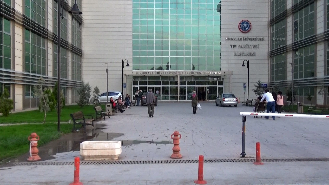 Pitbull cinsi iki köpeğin saldırısına uğrayan anne ile kızın korkulu anları...