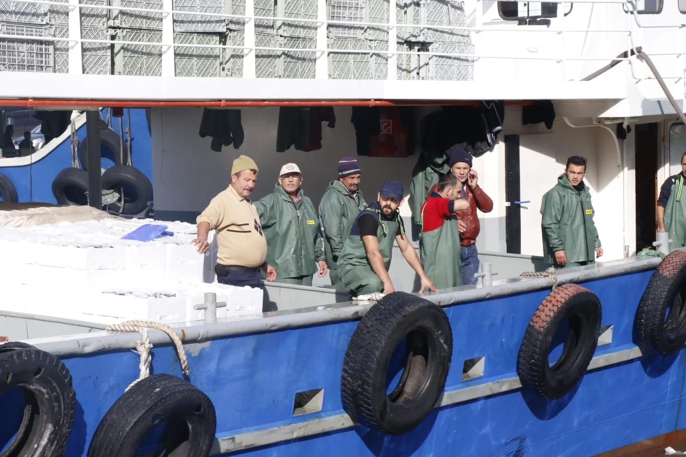 Zonguldak’ta hamsi bereketi